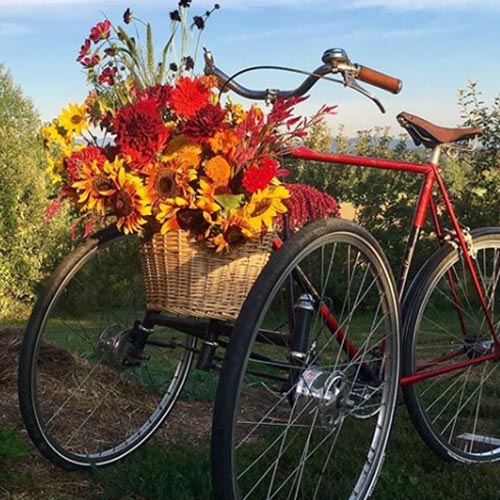 bicycle bouquet